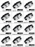 Special Offer Stainless Zodiac Bracelets